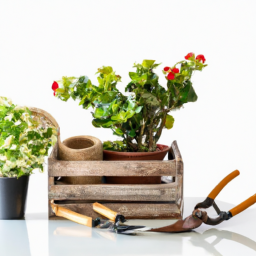 Elevate Your Living Space With Indoor Gardening A Comprehensive Guide