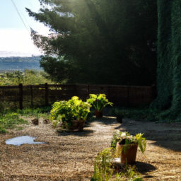 Creating Your Indoor Oasis: A Guide to Indoor Plant Decor