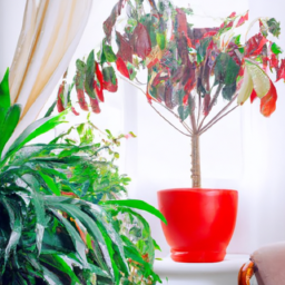  Creating Your Indoor Oasis: A Guide to Indoor Plant Decor