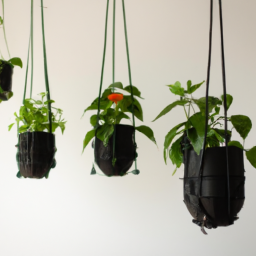  Hanging Garden DIY: Elevate Your Space