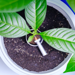  Indoor Growing Lights: Achieve Healthy and Vibrant Plants