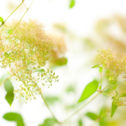 Native Plants for Local Ecosystems: Boosting Biodiversity