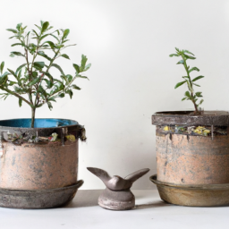 Upcycled Planters: Turning Trash into Treasures