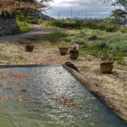  Wellness Retreats: Creating Spa-Like Indoor Spaces