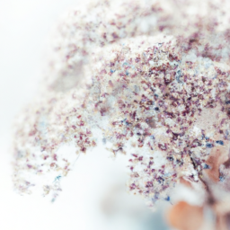  Winter Wonderland: Snow-Inspired Plant Decor