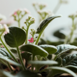  Blooming Success: Tips for Thriving Indoor Gardens