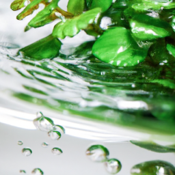 Indoor Plants in Water