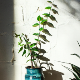  Nature-Inspired Decor: Transforming Spaces with Plants