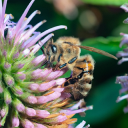  Pollinator-Friendly Gardens: Welcoming Beneficial Insects