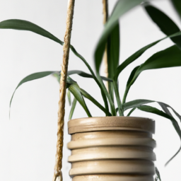 Should Indoor Plants Be Rotated