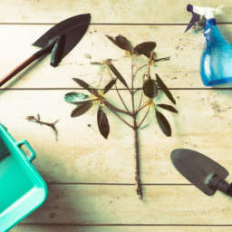  Spring Cleaning for Plants: Revive Your Space
