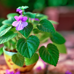  Summer Splendor: Beating the Heat for Happy Plants