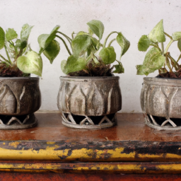Unique Planters: Turning Vintage Finds into Stylish Containers