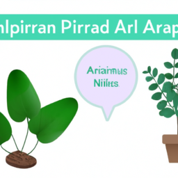 Air-Purifying Plants: A Comprehensive Guide for Cleaner Indoor Air