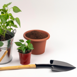 Eco-Friendly Indoor Gardening: Sustainable Practices for Greener Living