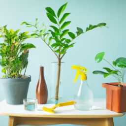 Indoor Plant Care by Season: Tips for Every Time of Year