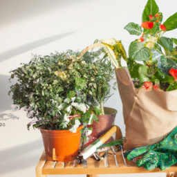 Indoor Plant Care by Season: Tips for Every Time of Year
