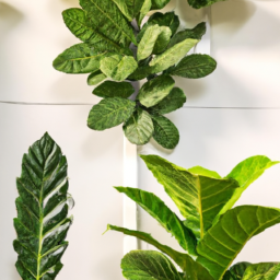  Indoor Plant Wall Art and Displays