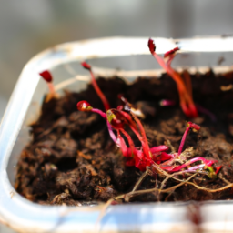 Mastering Plant Propagation: Techniques and Tips for Success