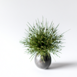  Minimalist Plant Decor: Embracing Simplicity