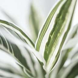  Plant Meditation: Connecting with Greenery