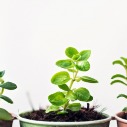  Plant Swaps: Building Community Through Green Exchanges