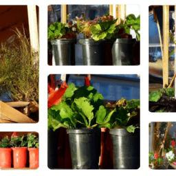 The Art of Container Gardening: Creating Stunning Indoor Plant Displays