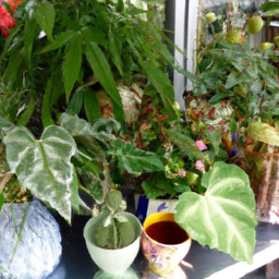 The Art of Container Gardening: Creating Stunning Indoor Plant Displays