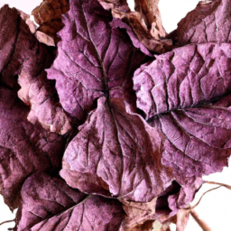  The Art of Mixing Plant Colors and Textures