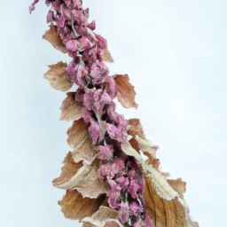  The Art of Mixing Plant Colors and Textures