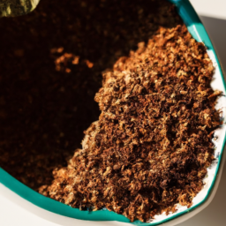 What Indoor Plants Like Coffee Grounds