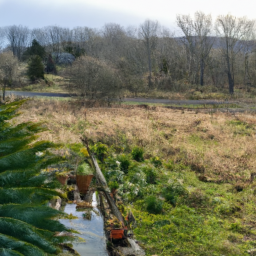  Winter Plant Care: Nurturing Through the Cold