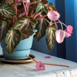  Year-Round Blooms: Indoor Flowering Plants
