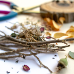 Garden-Inspired Crafts: Transforming Plant Finds