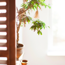 House of plant, In door plants, Indoor plants with pots, Indoors trees