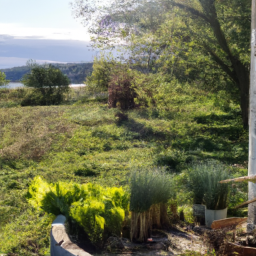 How Do Indoor Plants Make Their Food