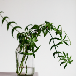  Incorporating Plants into Minimalist Interiors