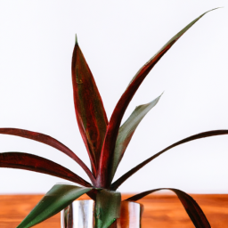 Indoor Plants Low Light Pet Safe