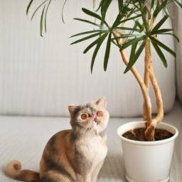 Indoor Plants Not Toxic To Cats? Keep Your Cats Safe and Your Home ...