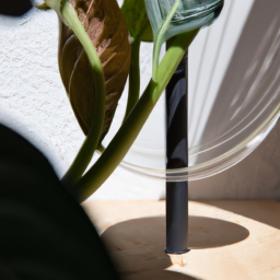 Plant Stand DIY: Elevate Your Plants in Style