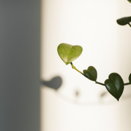 Plant lights