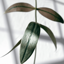 Plant lights