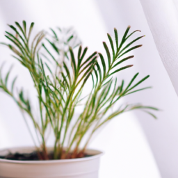 Plant lights