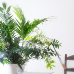 Styling Indoor Plants in Different Living Spaces