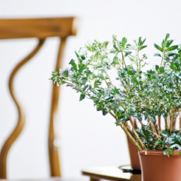 Styling Indoor Plants in Different Living Spaces