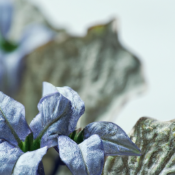 The Art of Mixing Plant Colors and Textures