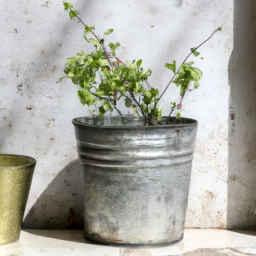 Transform Vintage Finds into Stylish Planters