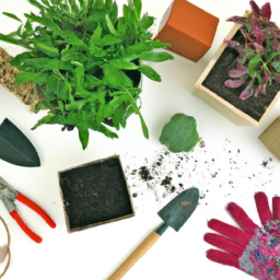 Ultimate Beginner’s Guide to Indoor Gardening