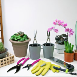 Ultimate Beginner’s Guide to Indoor Gardening