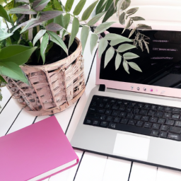 Where to Buy Indoor Plants Online UK